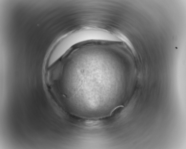 X0000088831146200706211810