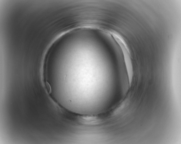 X0000088831147200706211810