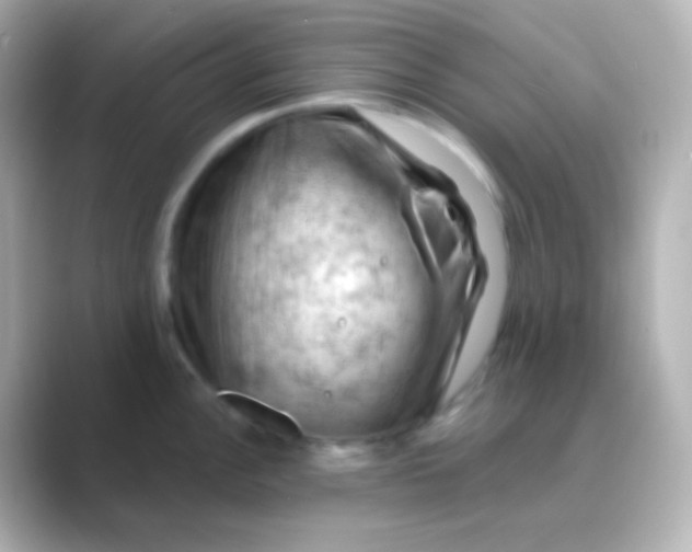 X0000088831148200706211810