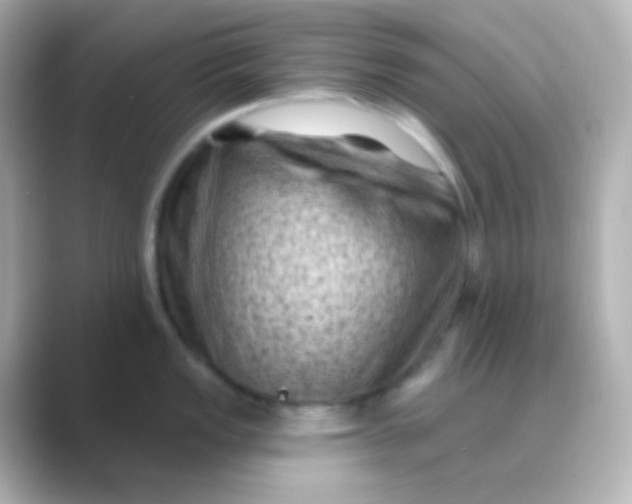 X0000088831149200706211810