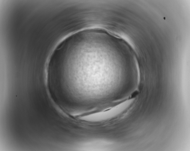 X0000088831151200706211810