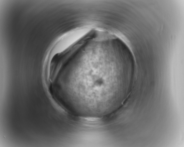 X0000088831152200706211810