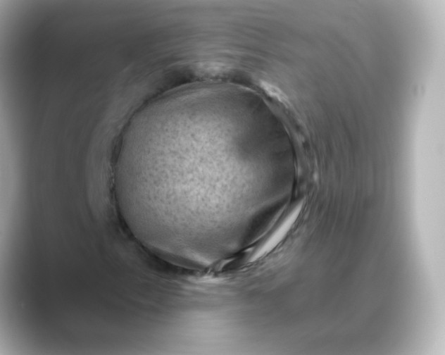 X0000088831153200706211810