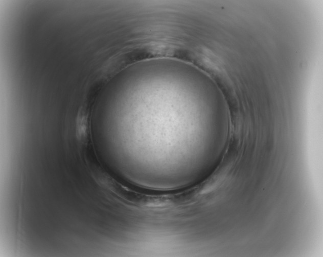 X0000088831154200706211810