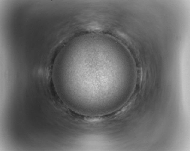 X0000088831157200706211809