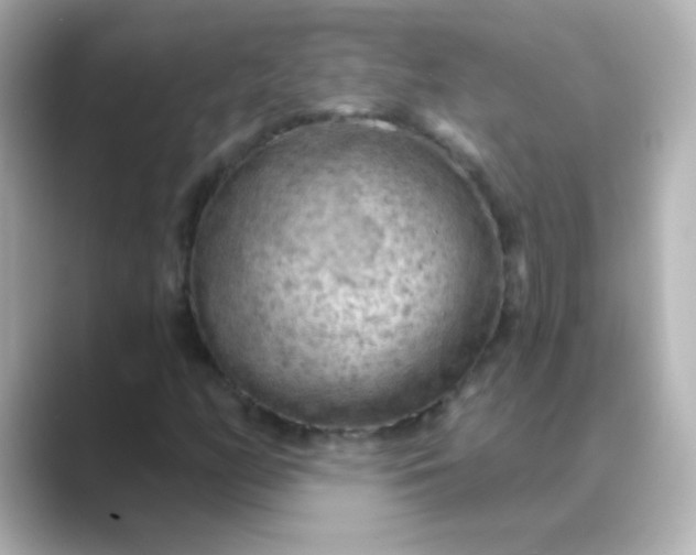 X0000088831158200706211809