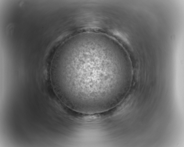 X0000088831159200706211809