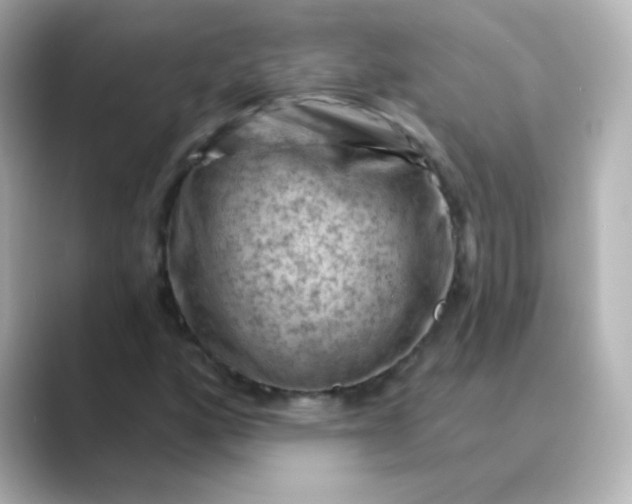 X0000088831160200706211809