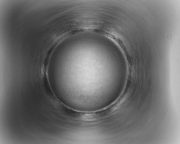 X0000088831161200706211809