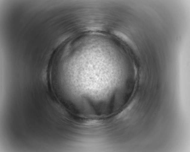 X0000088831162200706211809