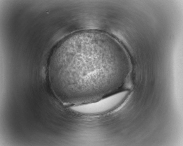 X0000088831163200706211809