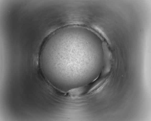 X0000088831165200706211809