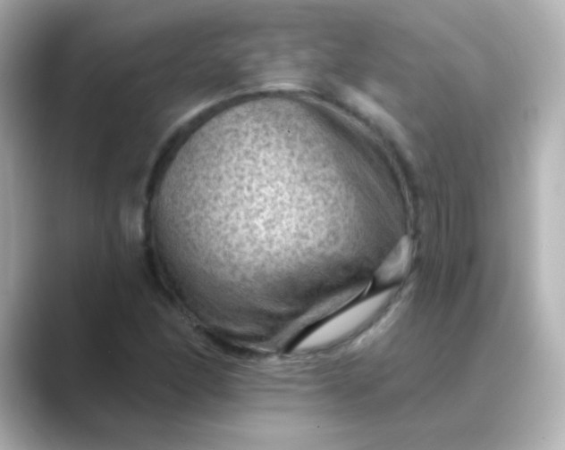 X0000088831166200706211809