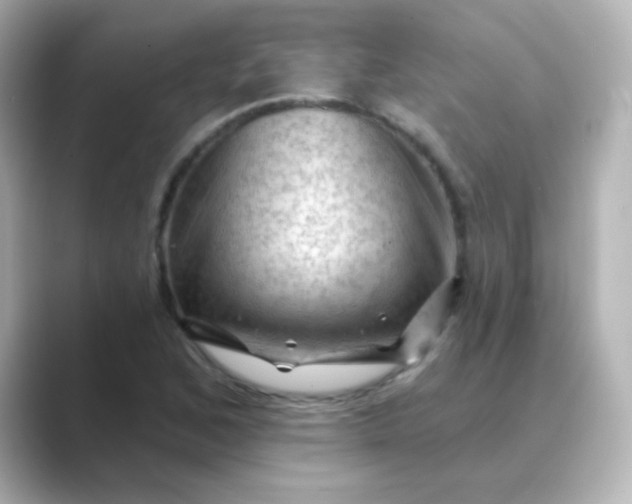 X0000088831168200706211809