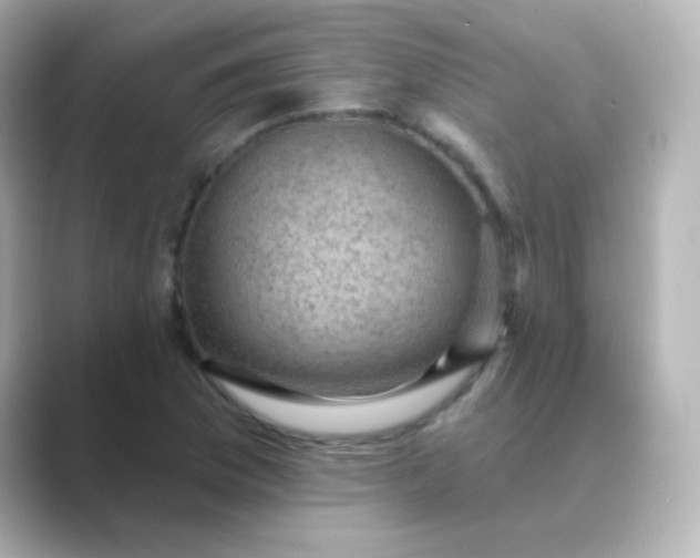 X0000088831169200706211809