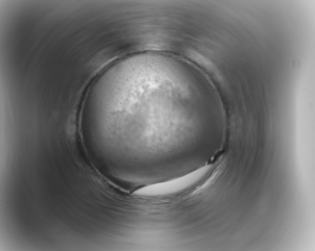 X0000088831170200706211809