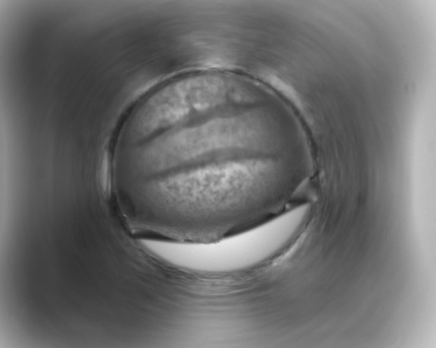 X0000088831171200706211809