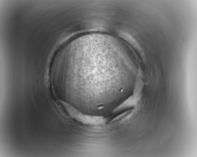 X0000088831172200706211809