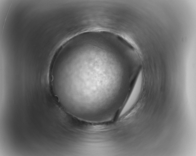 X0000088831173200706211809