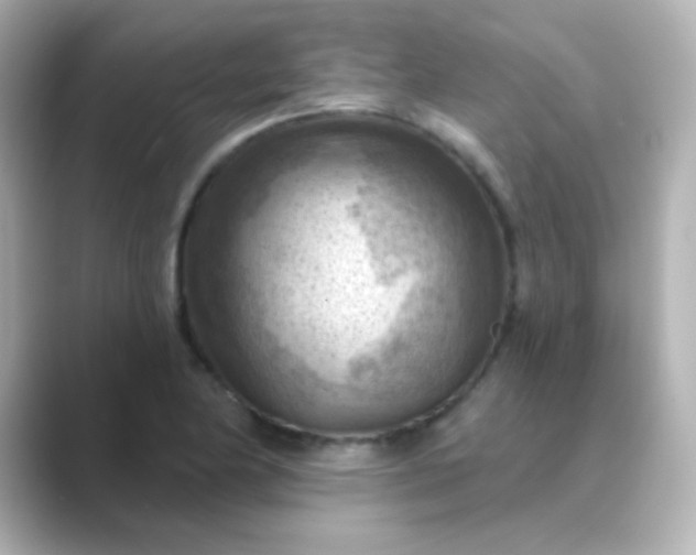 X0000088831174200706211809