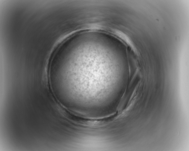 X0000088831176200706211809