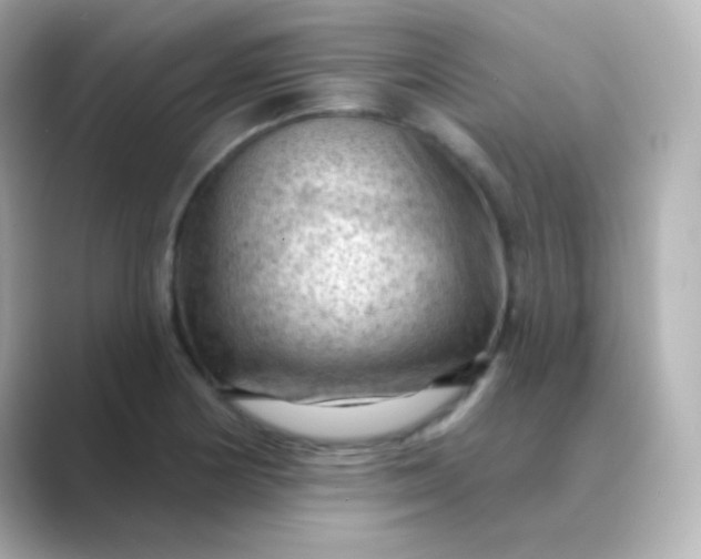 X0000088831178200706211809