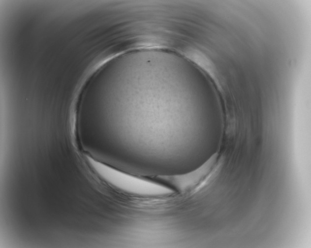 X0000088831179200706211809