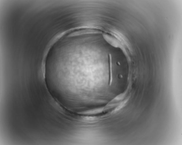 X0000088831180200706211809