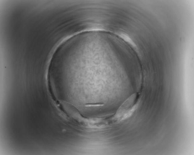 X0000088831181200706211809