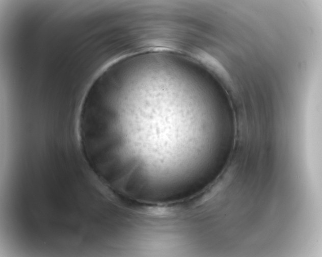 X0000088831182200706211809