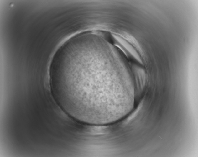 X0000088831184200706211809