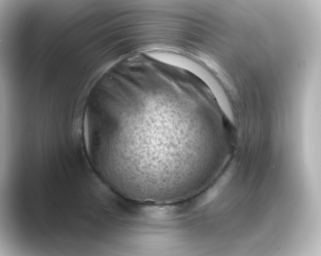 X0000088831185200706211809