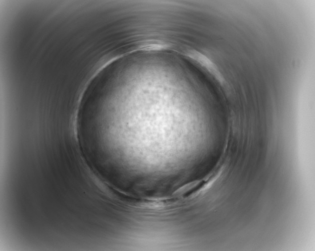 X0000088831186200706211809