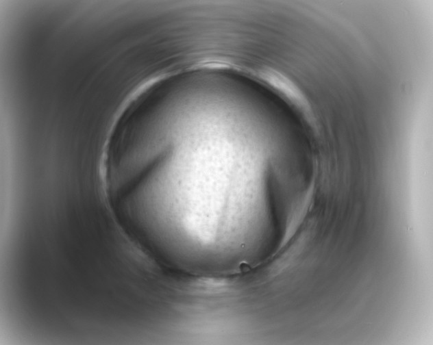 X0000088831190200706211809