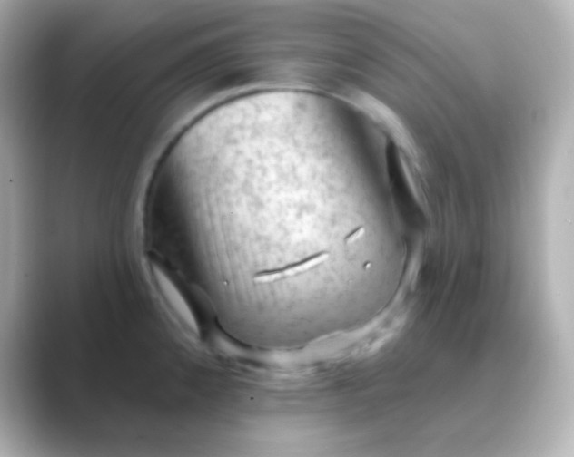 X0000088831192200706211809