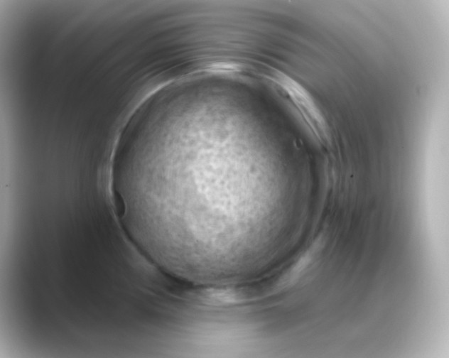 X0000088831194200706211809