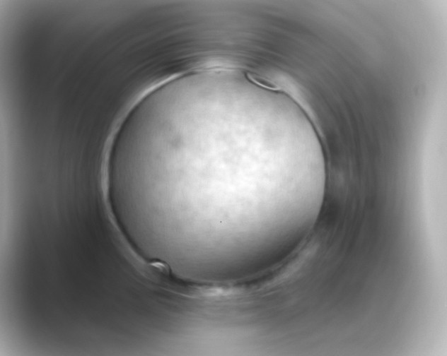 X0000088831195200706211809