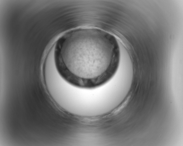 X0000088831196200706211809