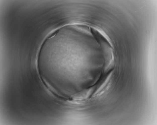 X0000088831197200706211809