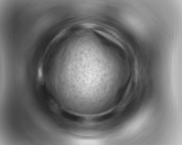 X0000088831198200706211809