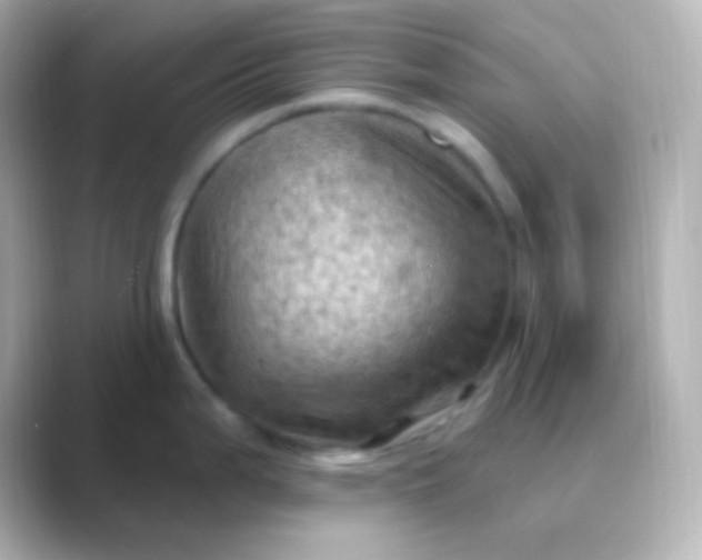 X0000088831199200706211809