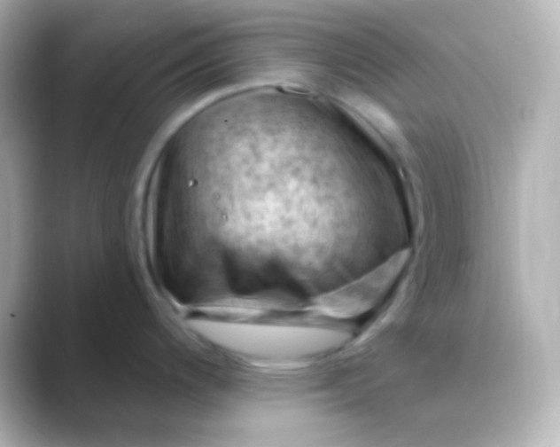 X0000088831200200706211809