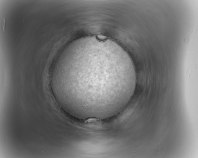 X0000088831201200706211808