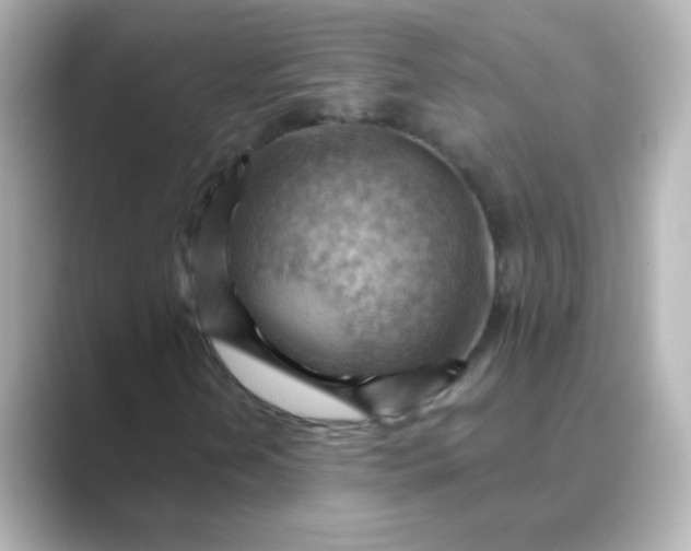 X0000088831202200706211808