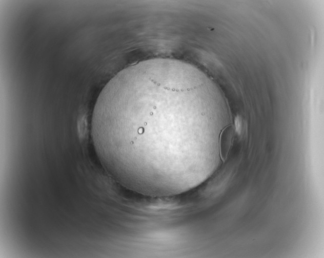 X0000088831203200706211808