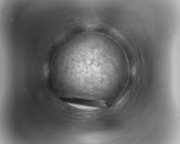 X0000088831204200706211808