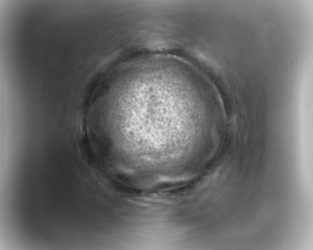 X0000088831205200706211808