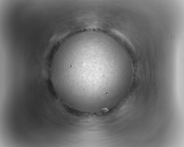 X0000088831207200706211809