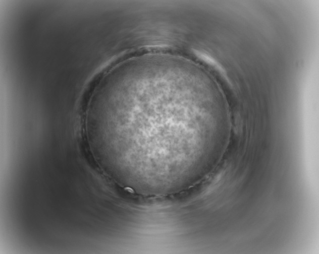 X0000088831208200706211809