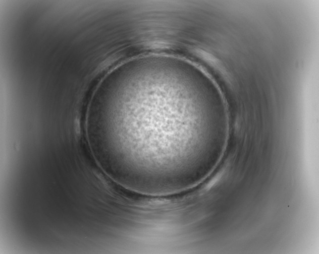 X0000088831209200706211809